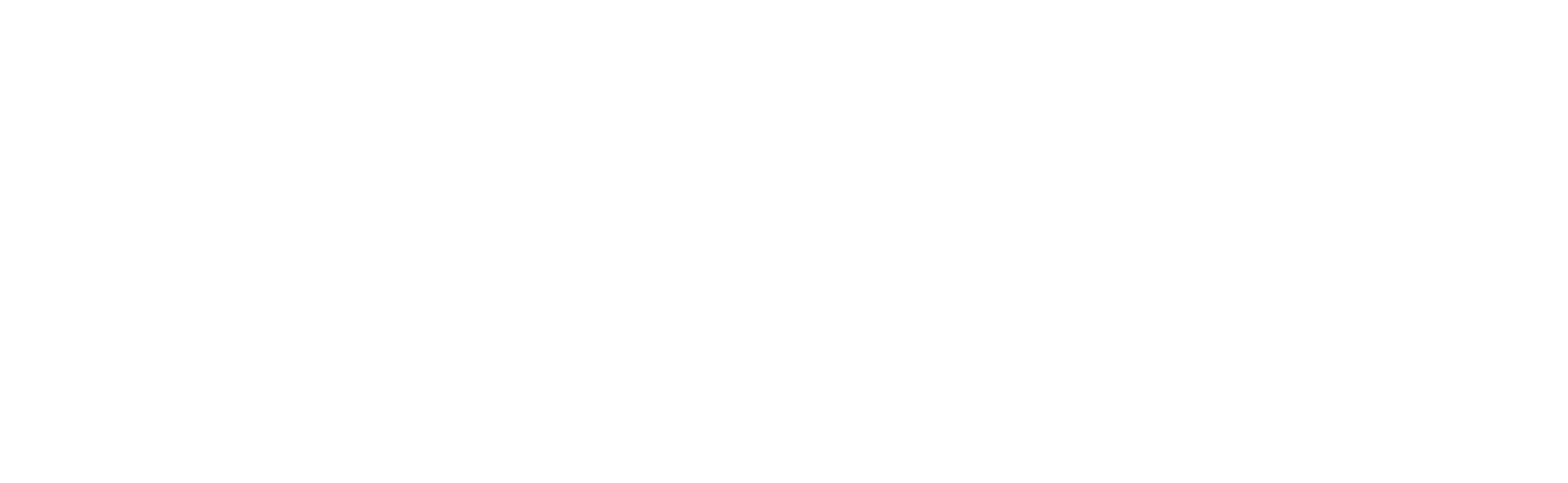 Logo der Kanzlei Dr. Noch